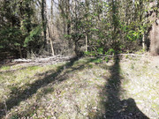 20210306-105718.jpg