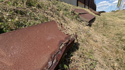 IMG-6575