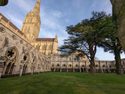 PXL_20211107_154012670