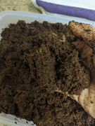 photo5424791081125524441