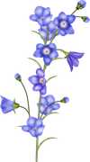 april-showers-SD-69
