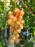 20190901-082954