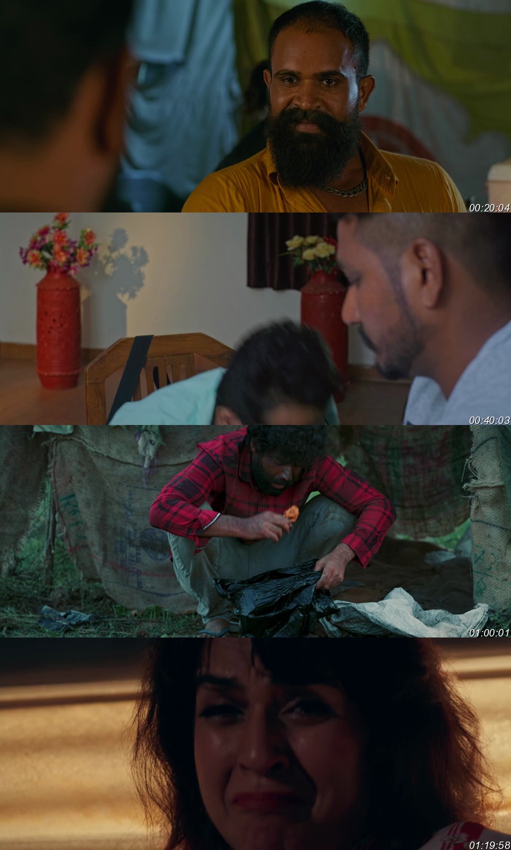 Paune 9