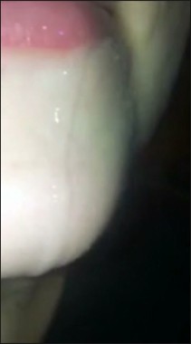 [Image: Cumshots36919040547.jpg]
