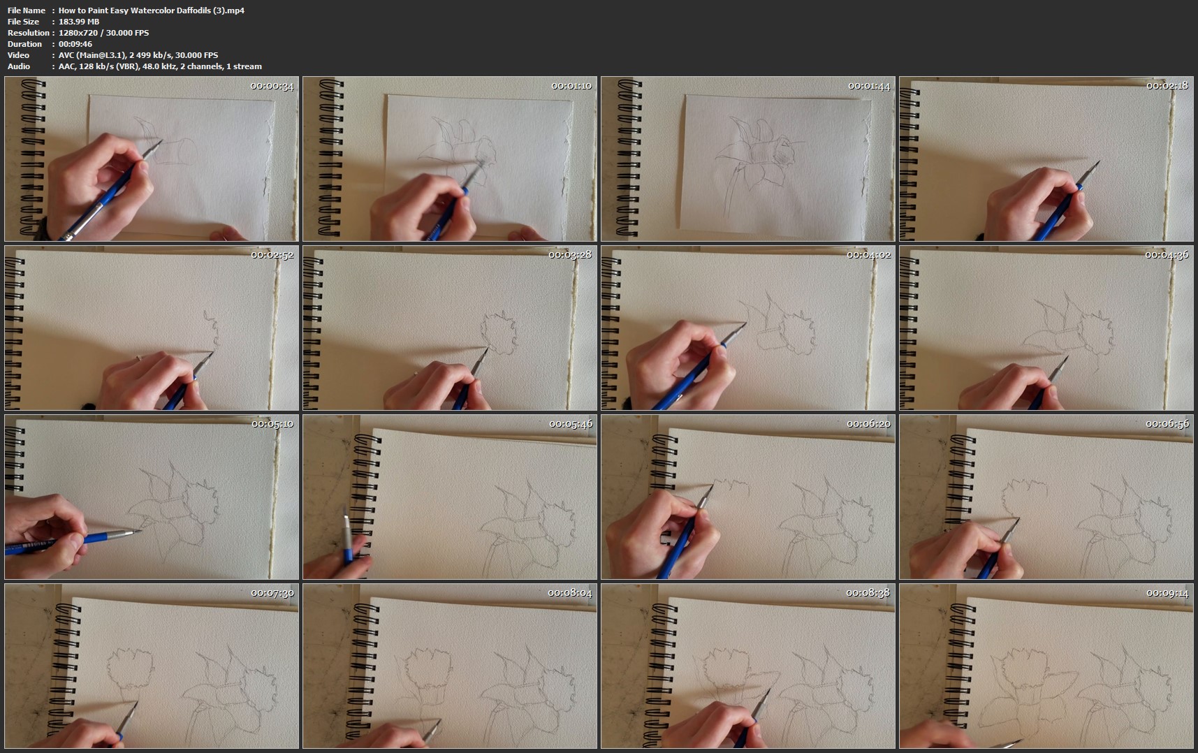 How-to-Paint-Easy-Watercolor-Daffodils-3