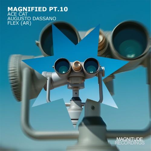 ACE CAT - Magnified Pt. 10 (2026) MP3