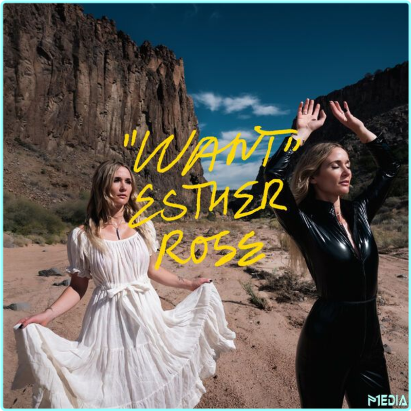 [Image: wptbw05p3xx1.png]