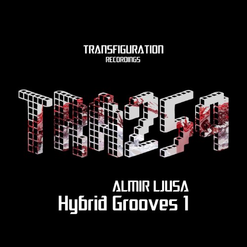 00-almir-ljusa-hybrid-grooves-1-tra259-w