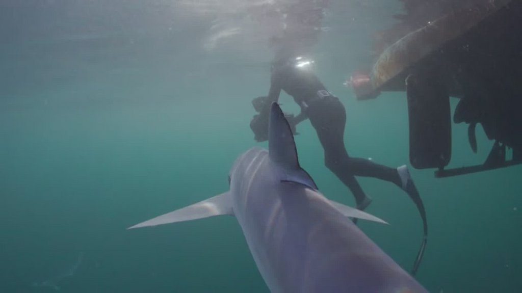 [Image: o2fhe59tiw7e.jpg]