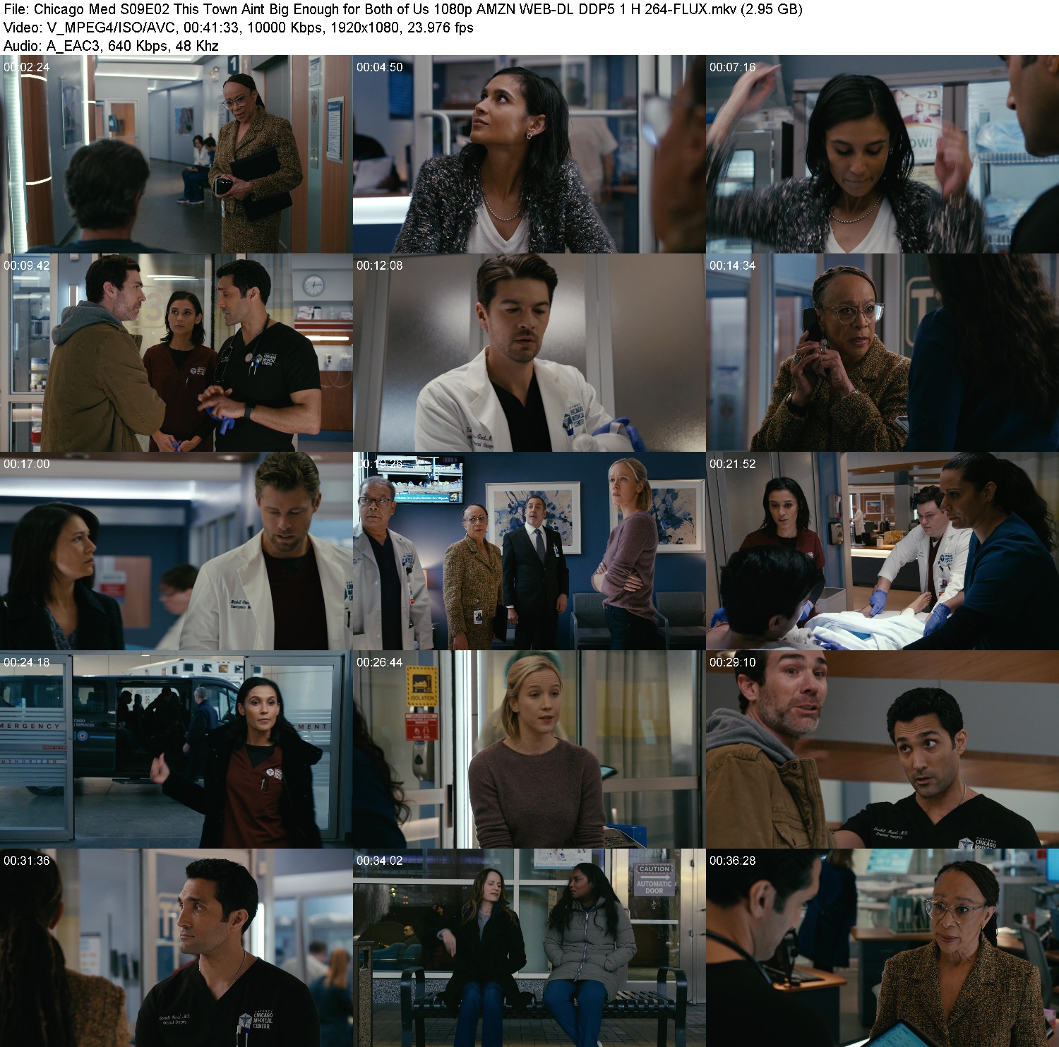 [Image: ffdw8ku9c4z2.jpg]