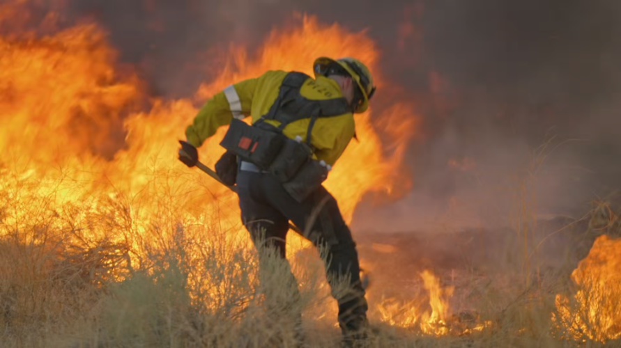 [Image: c7qmf67v4kky.png]