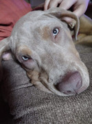 received_399724288787950