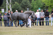 IMG-7297-wynik