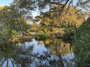 241205_Demo-Kawaii-Arboretum-LA_PG_i100040