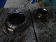 DSC09474.jpg