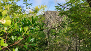 16-08112025