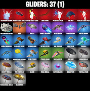 gliders-comp
