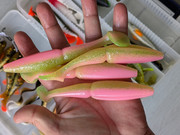 PXL_20250310_131521699