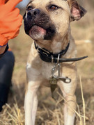 IMG_20230416_173304_671