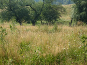 ADP System - Zelezniza 2009 (30)