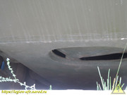 IMG-2251