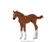 16DA7B55-FE1B-467E-97BE-F30D5CCF1F97