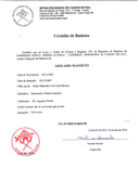 Adelaide Mazzetti - Certidao de Batismo