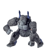 TF-Kingdom-Official-Pics-038