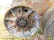 DSCN6417