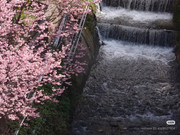 photo 12 2026 01 03 21 22 22