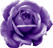 0_149992_3398b523_orig