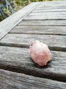 IMG-20211108-170400
