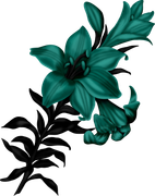 0_17d82a_6885fe94_orig