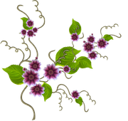 ISmell-Autumn-LL-Element53