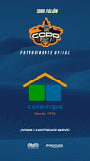 COSEIMPA