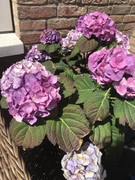 8788283D-6CE4-4709-A279-CDFF51F538A9