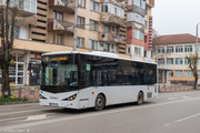 IMG-2446