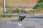 IMG-2364