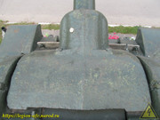 IMG-8918