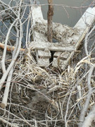 IMG-20200509-210411