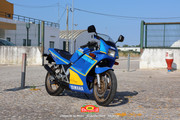 IMG-2938