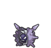 cloyster