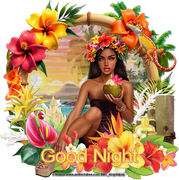 kgtropicalvacationGood Night