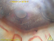 T-34-76-Sholokhovo-122