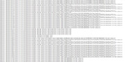 debug-2