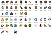 artefacts.png
