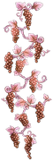 Rose-Sidebar-Left