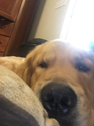 image_2023-02-02_231404826