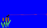 [Image: IMG-3700.jpg]