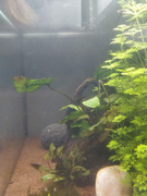 Immagine WhatsApp 2025-02-17 ore 15.57.03_acef6abb